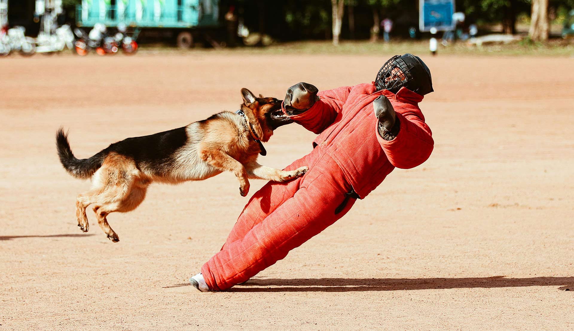 K9 Security